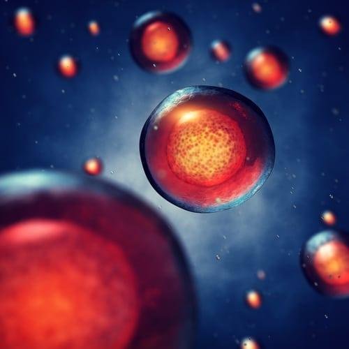 Bone regeneration