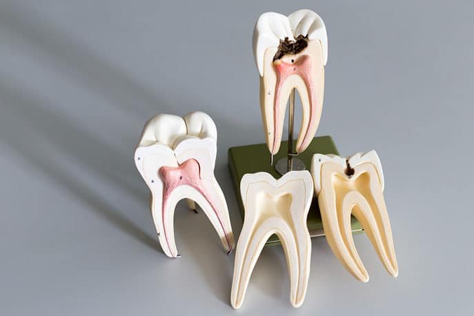 Dental Implantology Dental Implantology